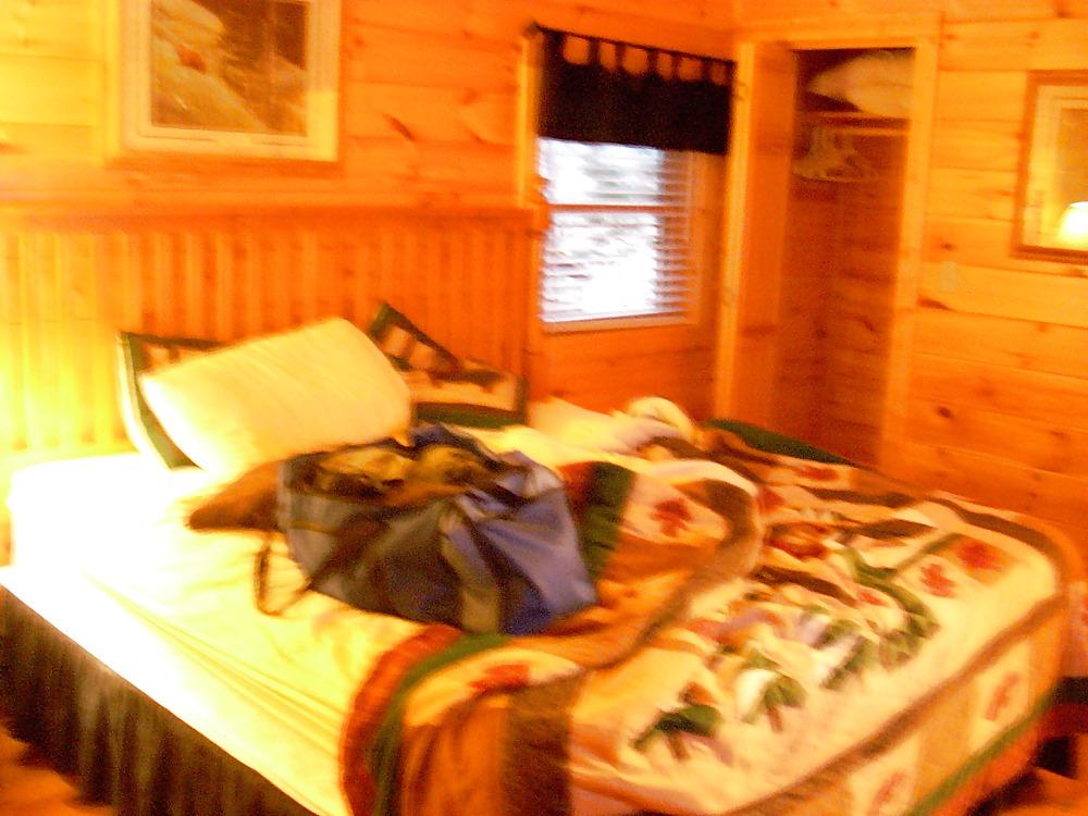 8P The Cabin
