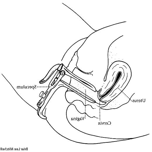 8P Gynecologist