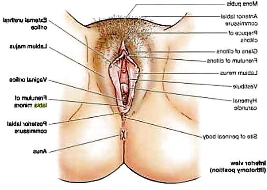 8P Gynecologist
