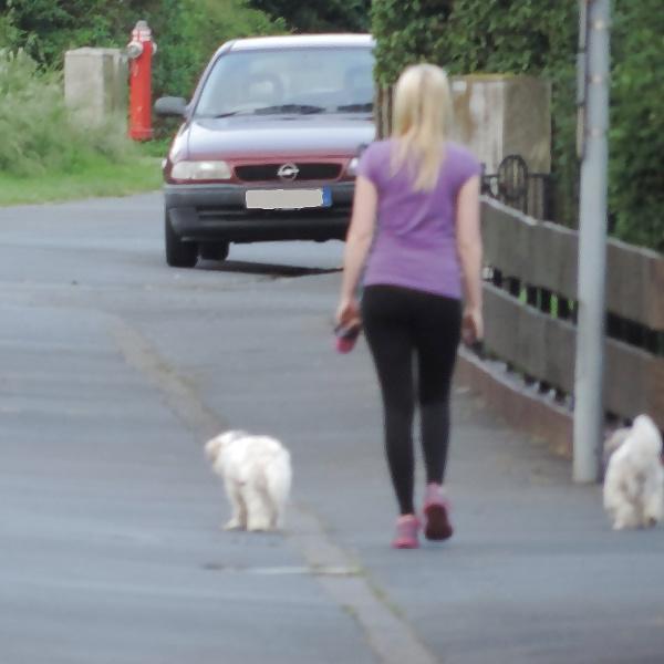 11P Cute blonde teen girl