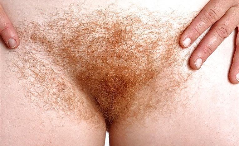 10P Hairy Bush in your Face