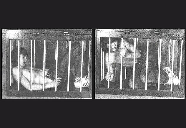 24P Vintage BDSM