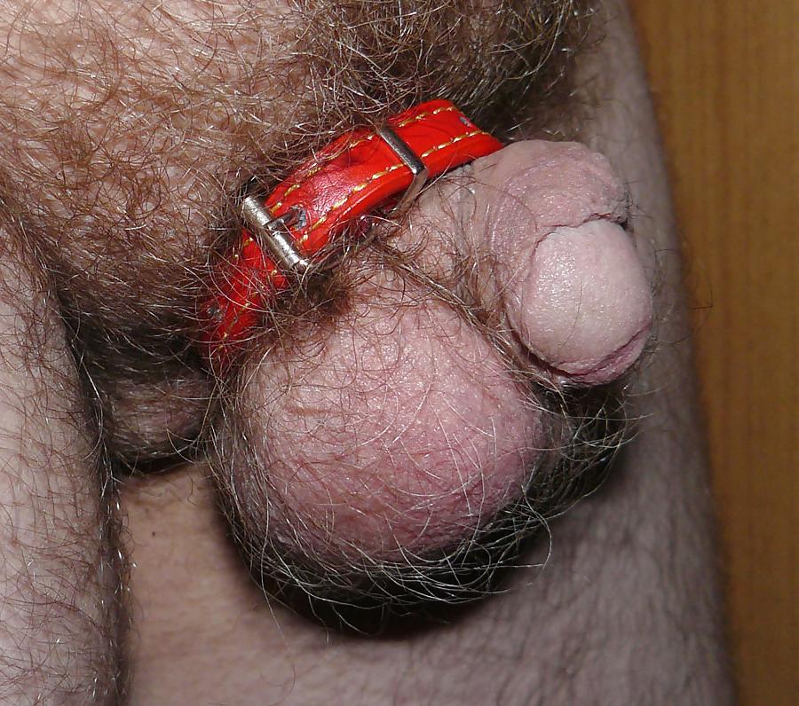 23P Mix of BDSM