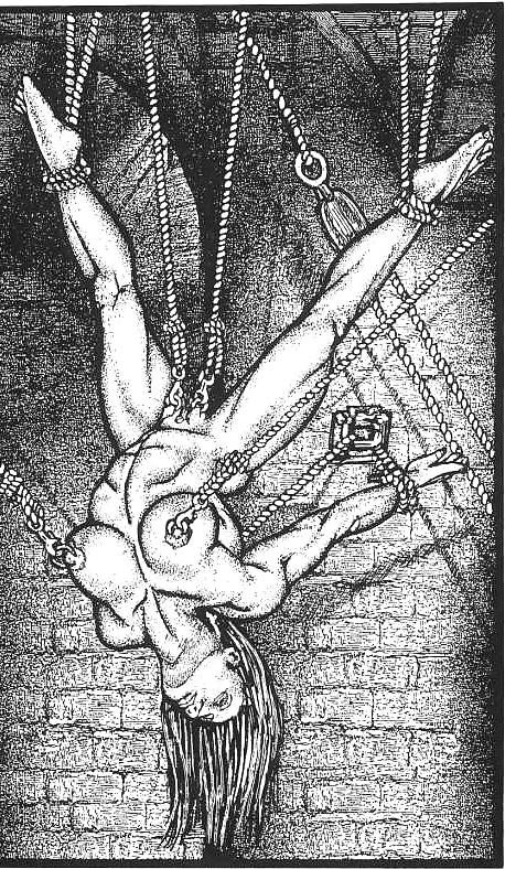 25P Cartoons or Drawings BDSM 8