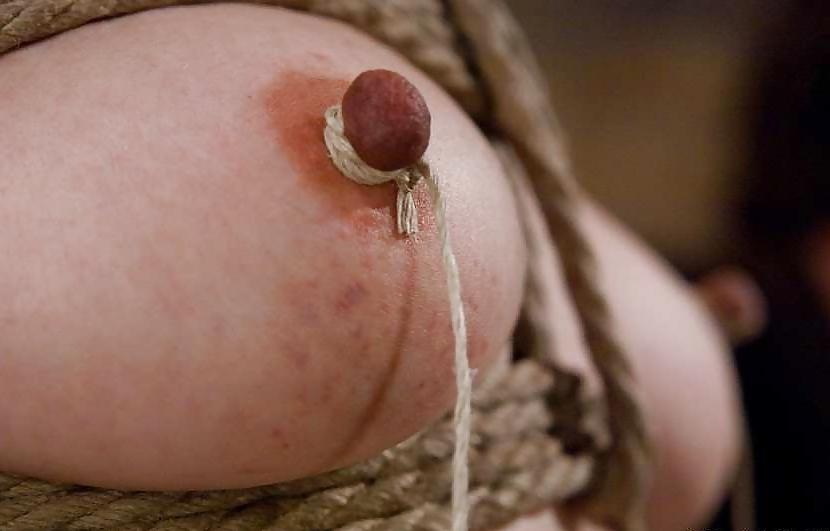 25P Calico bdsm mix