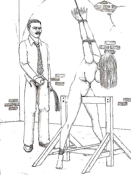 11P BDSM Drawings