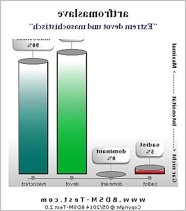5P BDSM Test Auswertung