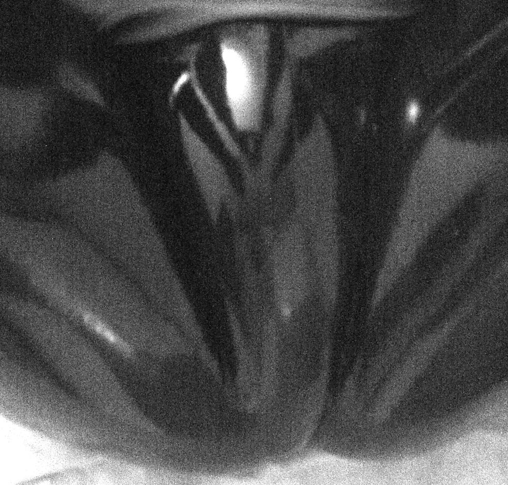 21P My latex legs and feet...