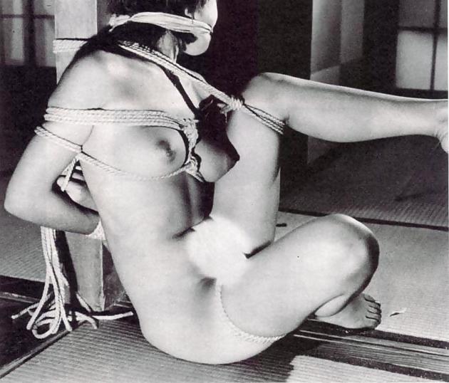13P Japanese traditional BDSM