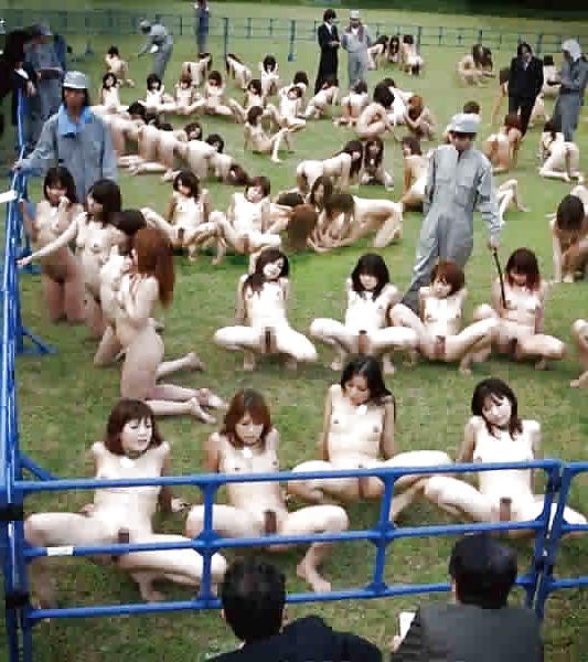 25P The Slave Market Selection.