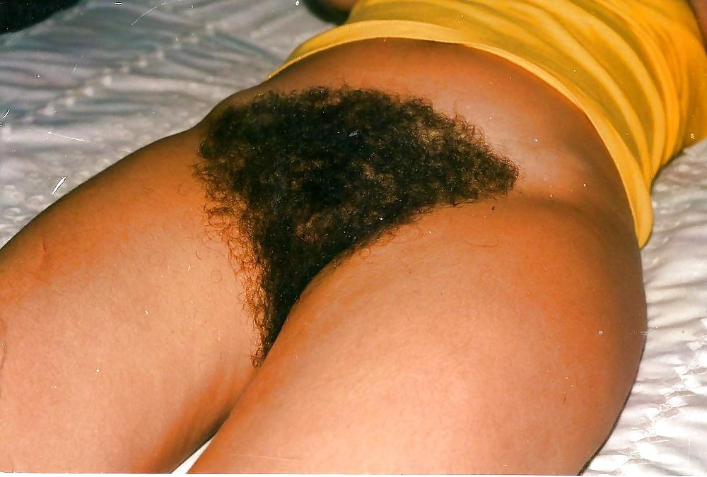 25P Big Hairy Bush