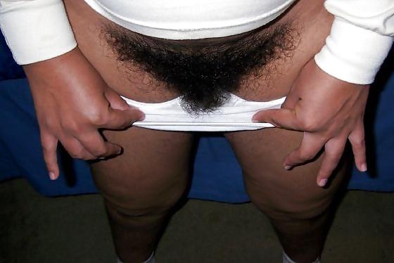 25P Big Hairy Bush