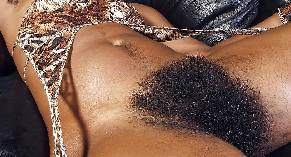 25P Big Hairy Bush
