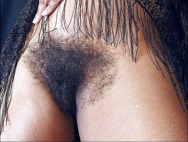 25P Big Hairy Bush