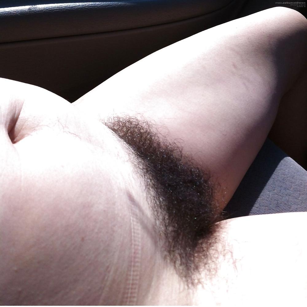 25P Big Hairy Bush
