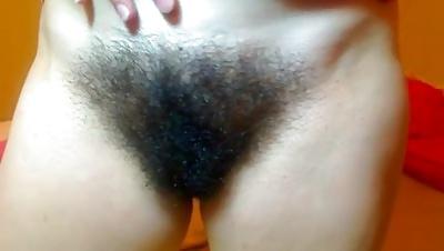 25P Big Hairy Bush