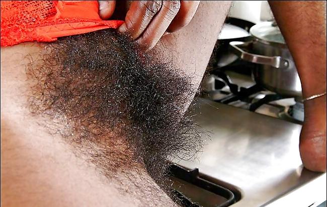 25P Big Hairy Bush
