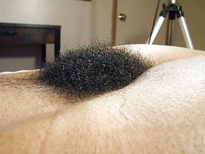 25P Big Hairy Bush