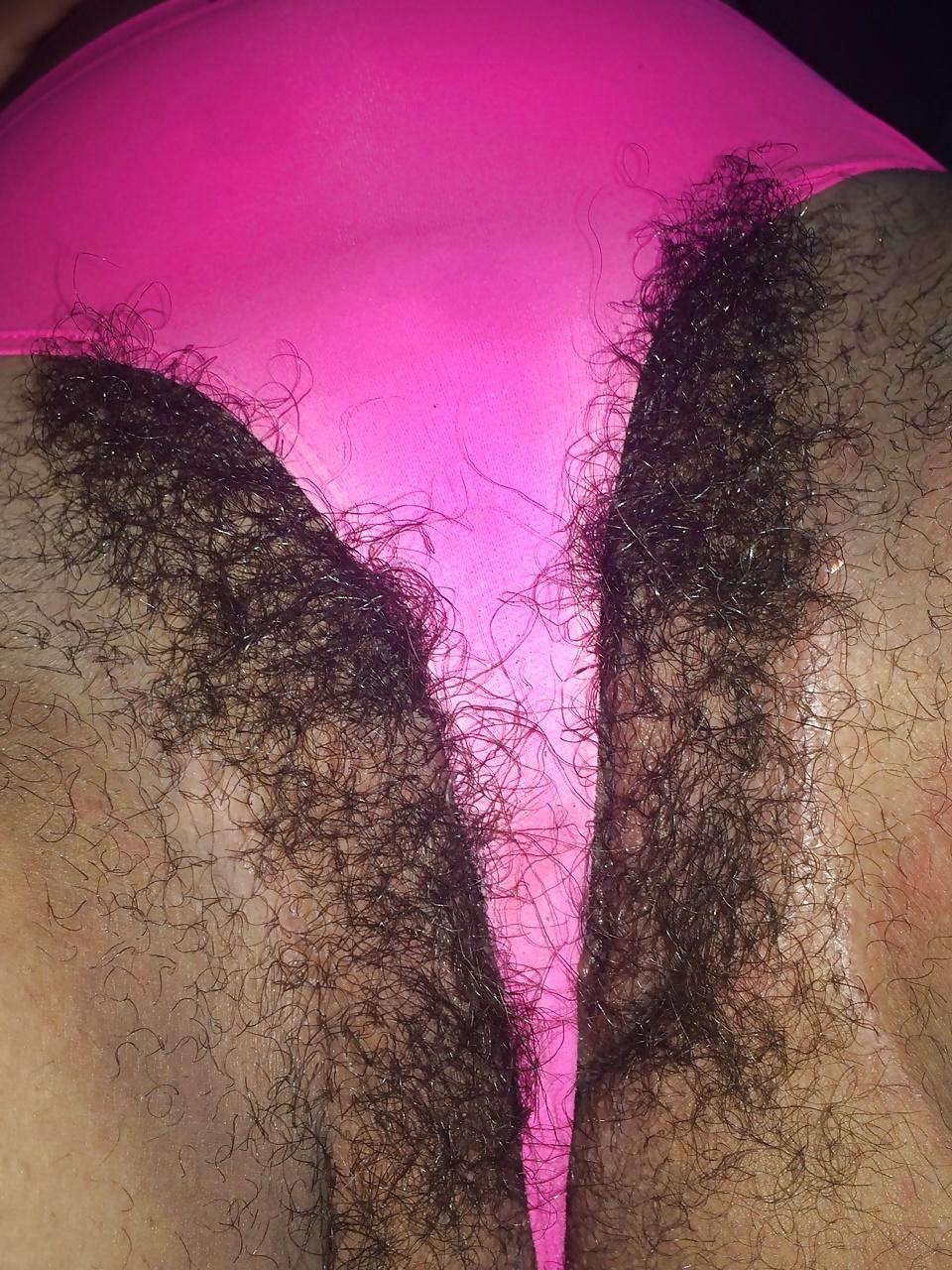 10P HAIRY ASS PUSSY I LIKE VOL.22
