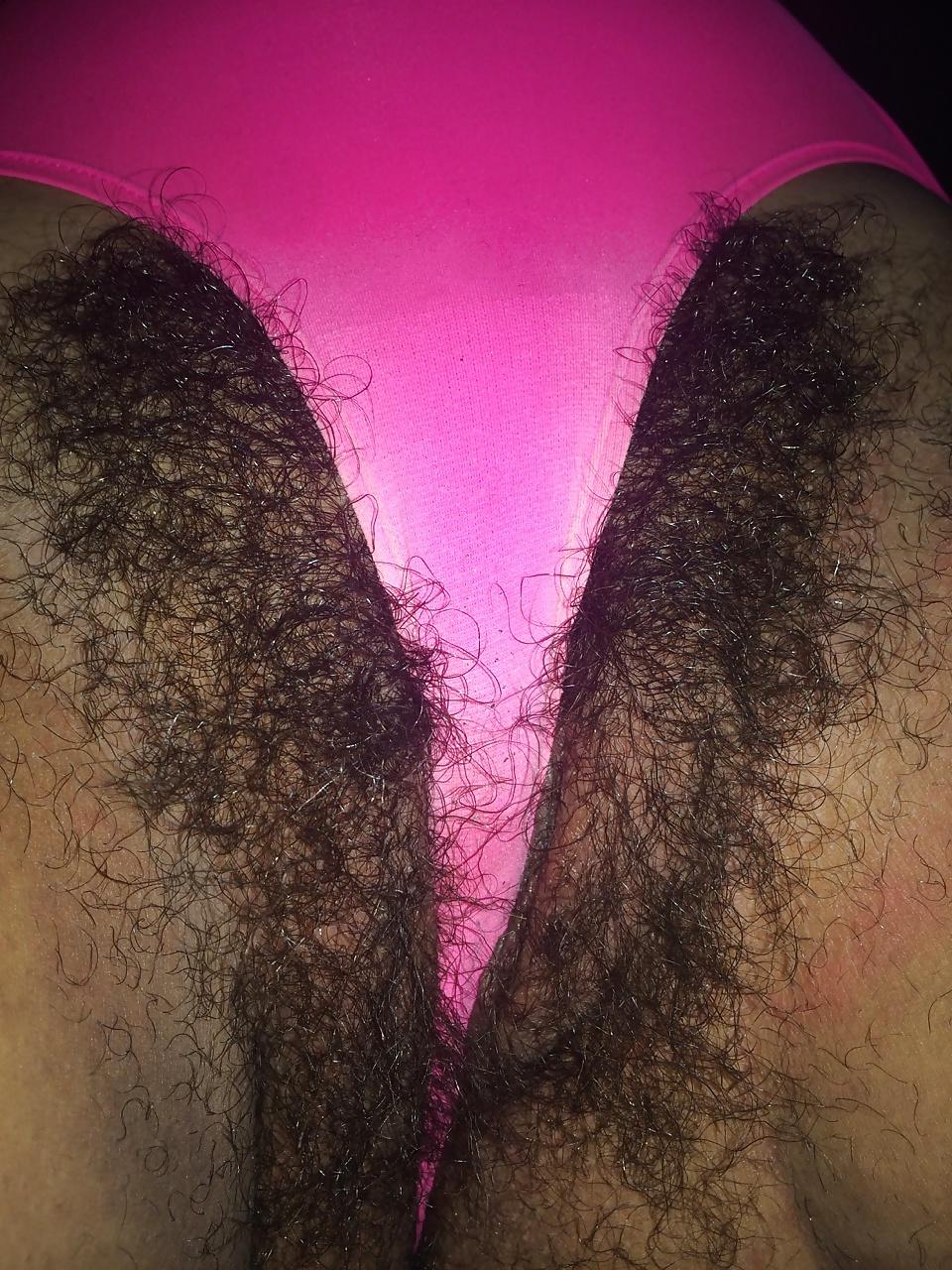 10P HAIRY ASS PUSSY I LIKE VOL.22