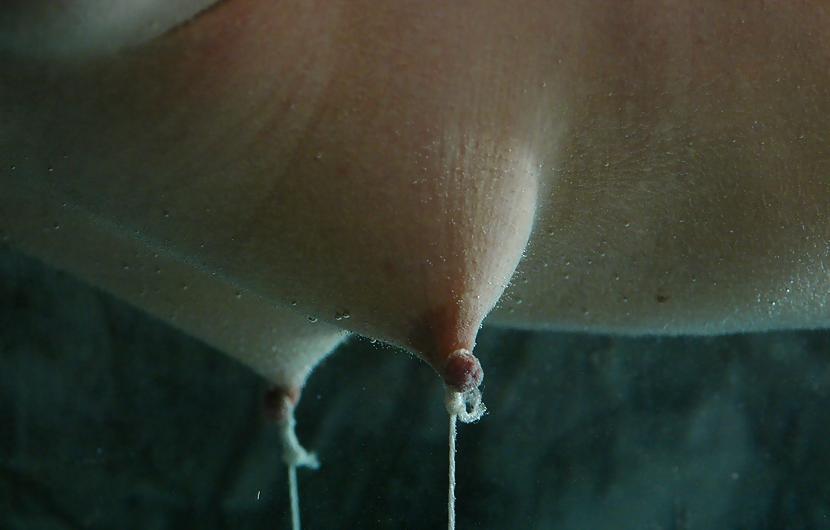 25P Maya Matthews bdsm mix