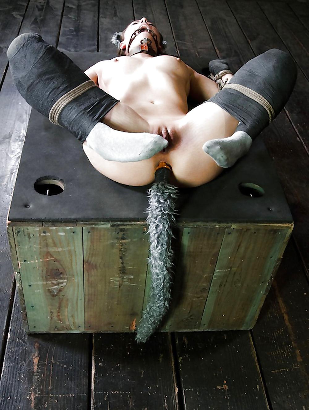 18P Love - Gusto - Liebe  BDSM (217)