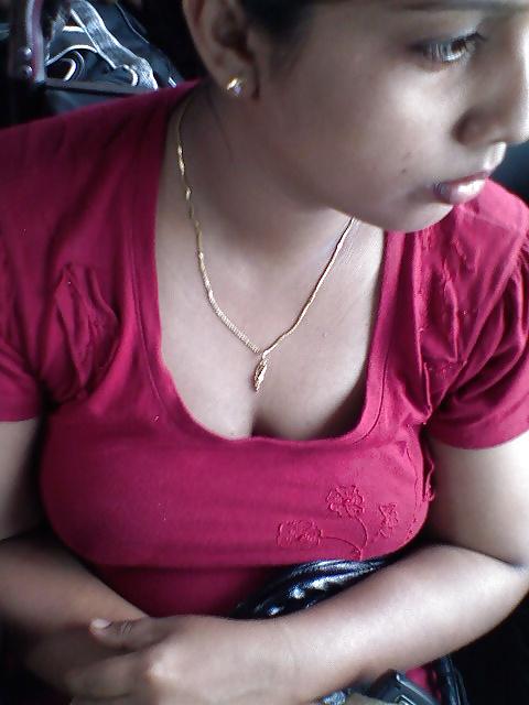 21P Indian Bus Clevage