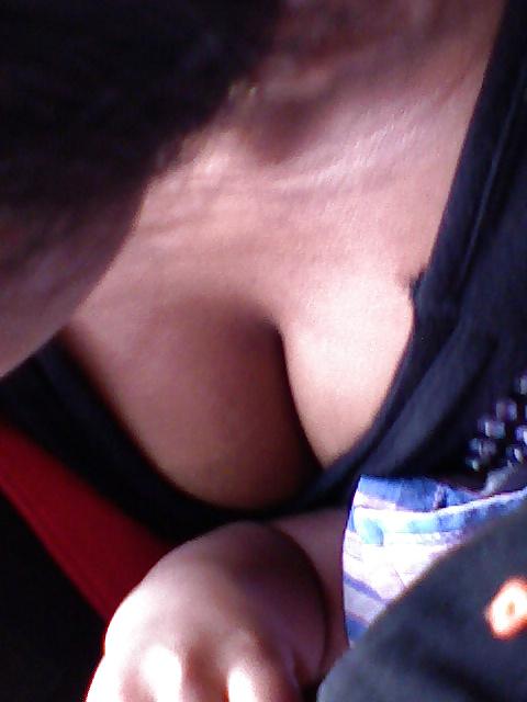 21P Indian Bus Clevage