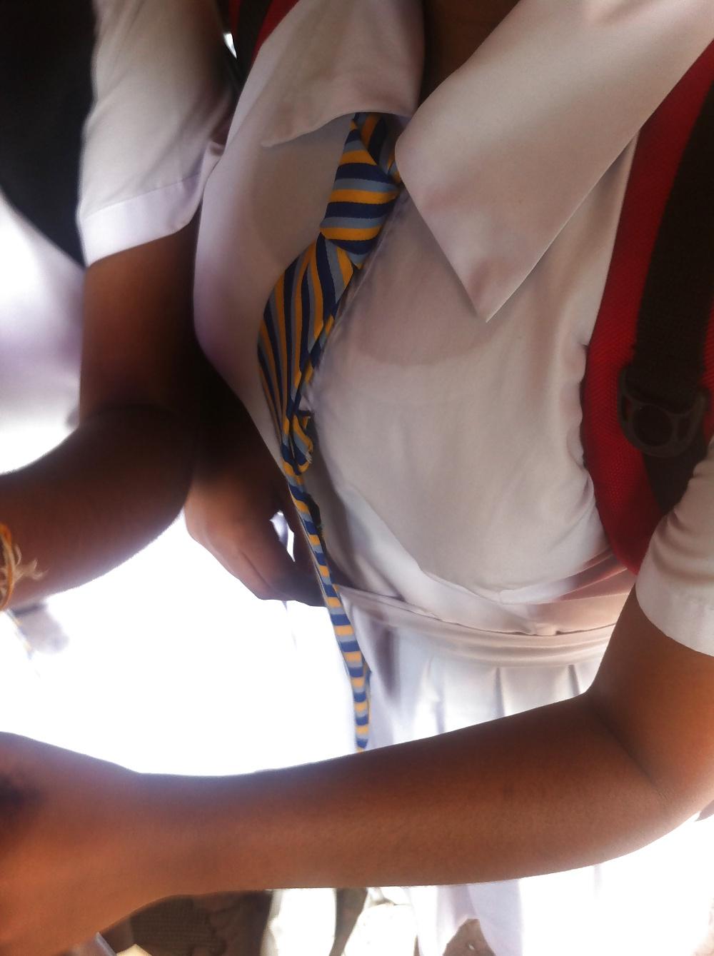 21P Indian Bus Clevage