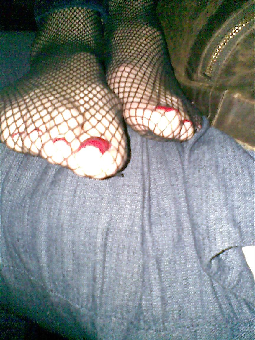 25P Colors of rainbow - fishnet