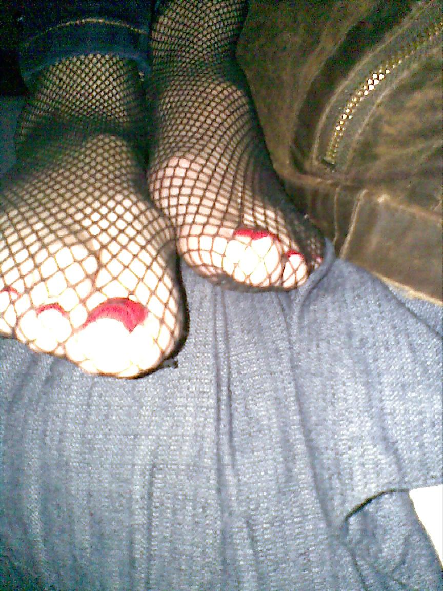 25P Colors of rainbow - fishnet