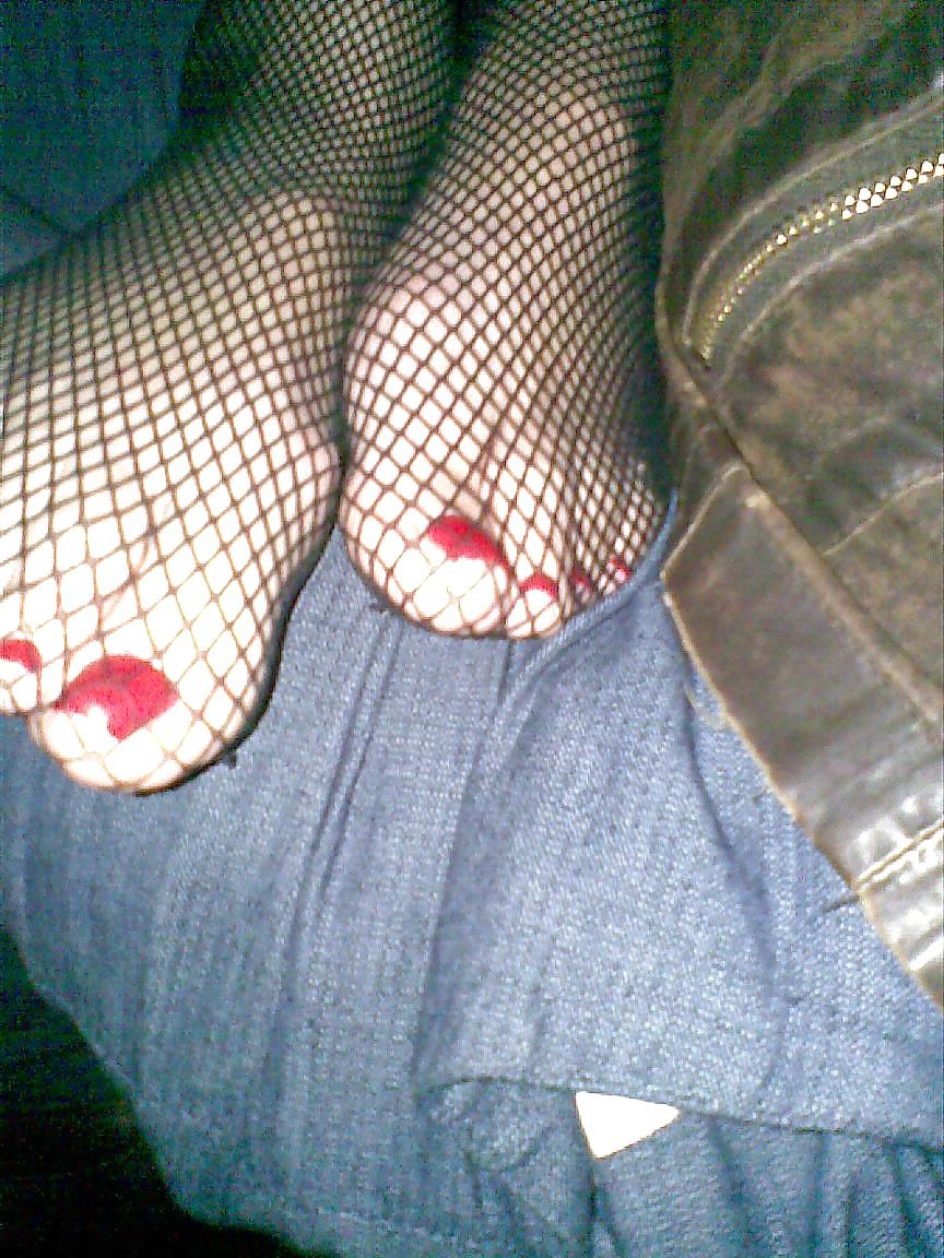 25P Colors of rainbow - fishnet