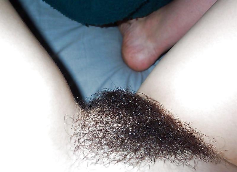 24P FIGA PELOSA 36 HAIRY PUSSY 36 CONO PELUDO CHATTE POILUE
