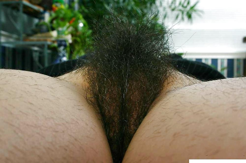 24P Hairy Girls 2