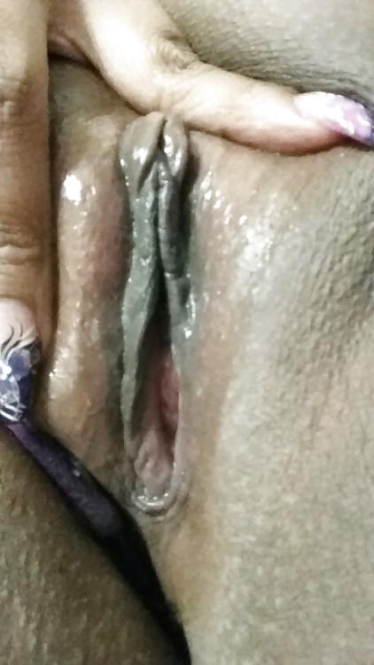 14P (PUSSY ASS TITTIES) LATINA EDITION VOL.50