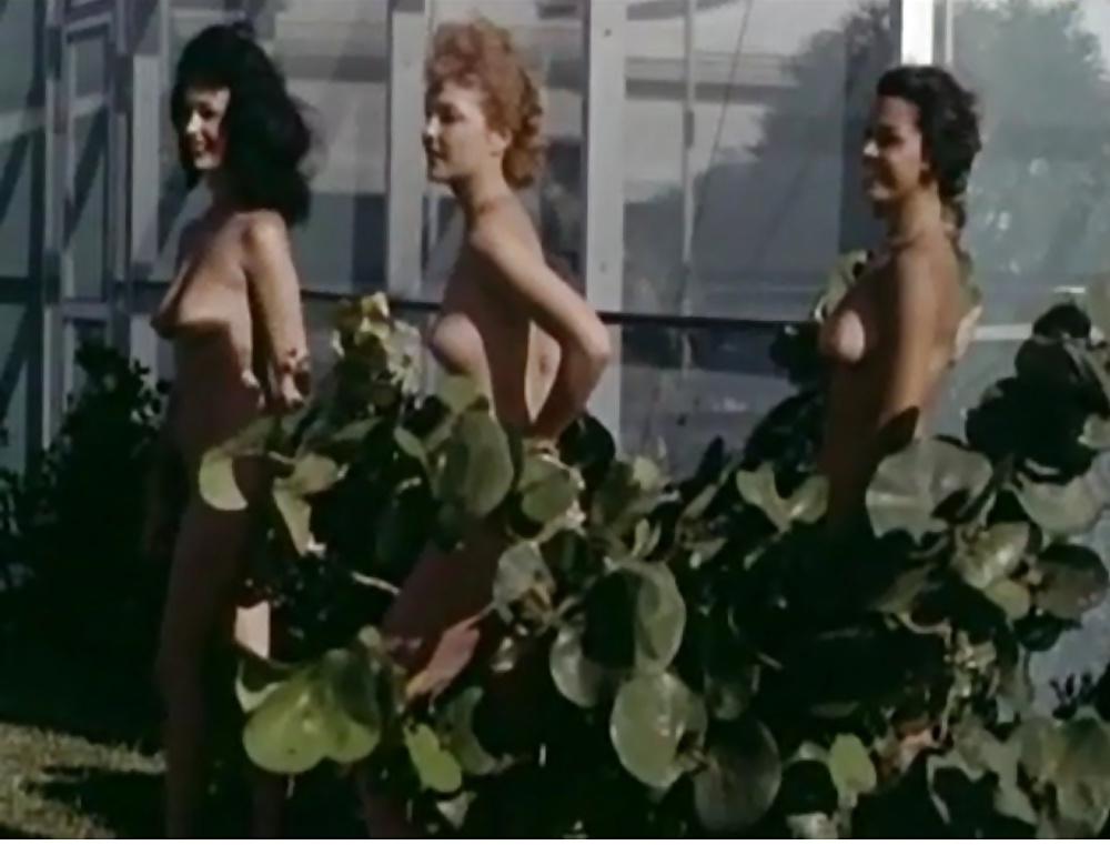 25P 60's nudist pics