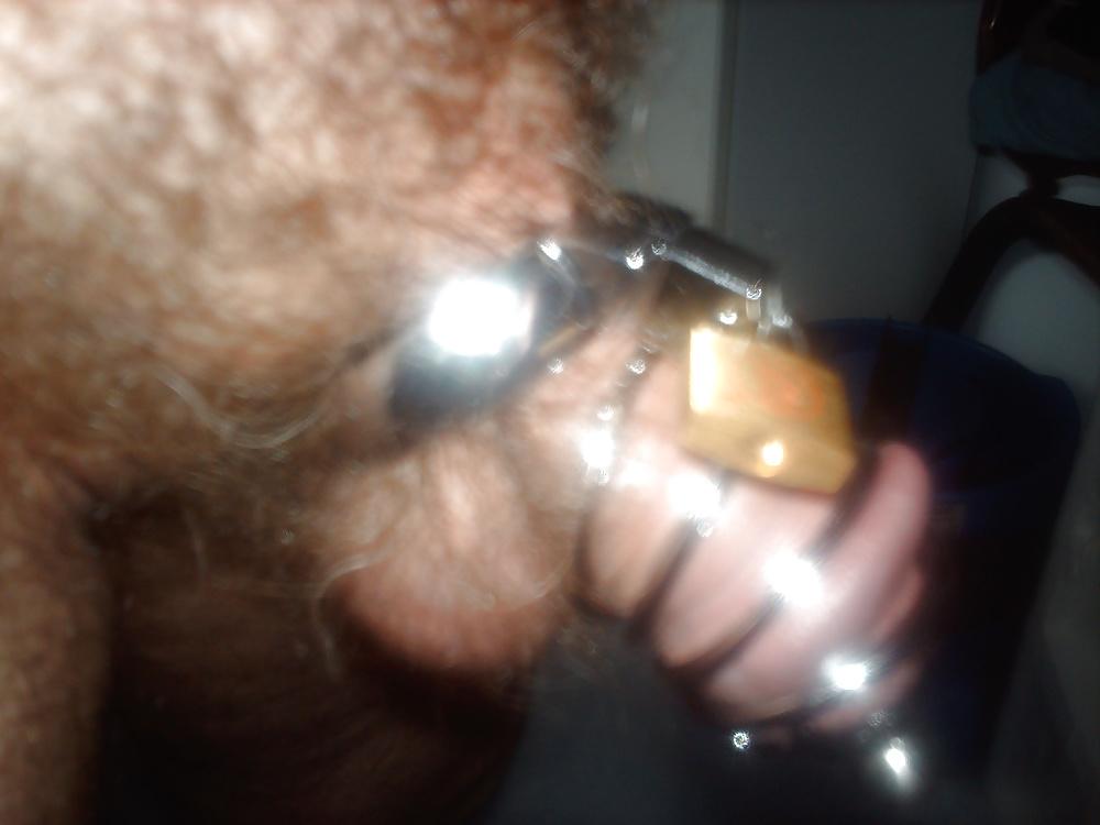 22P Bdsm cage