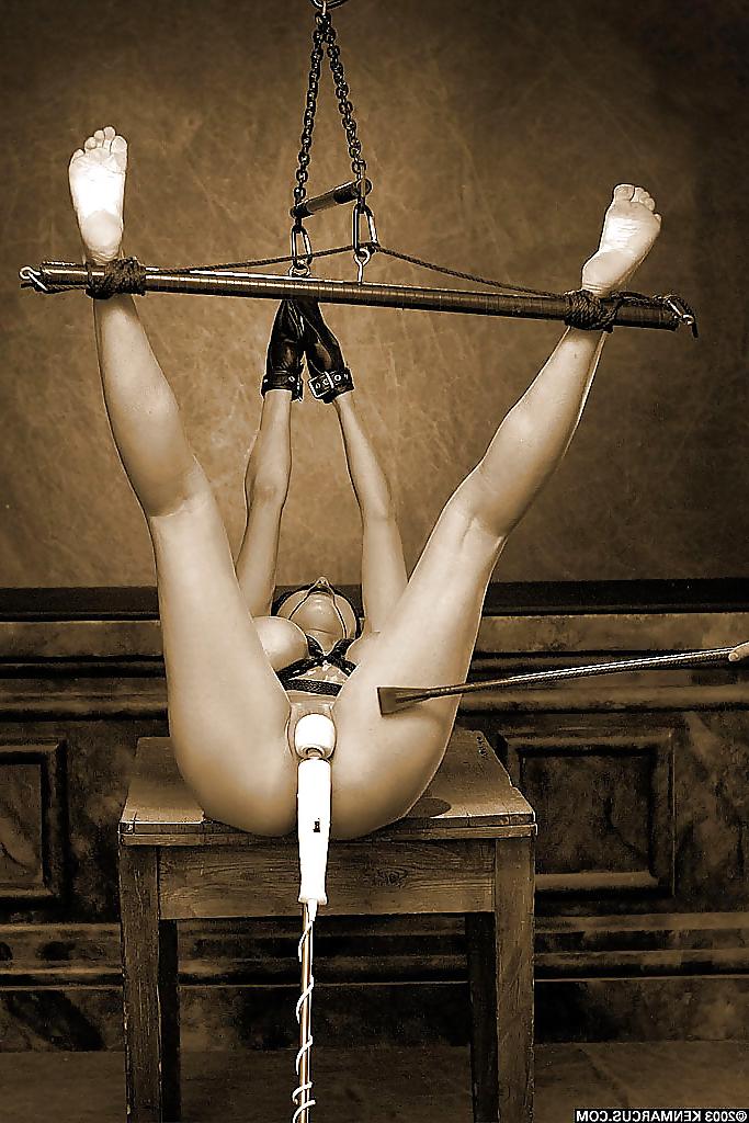 14P BDSM II