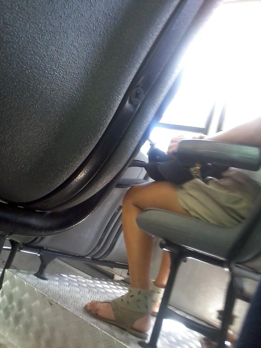 8P In bus