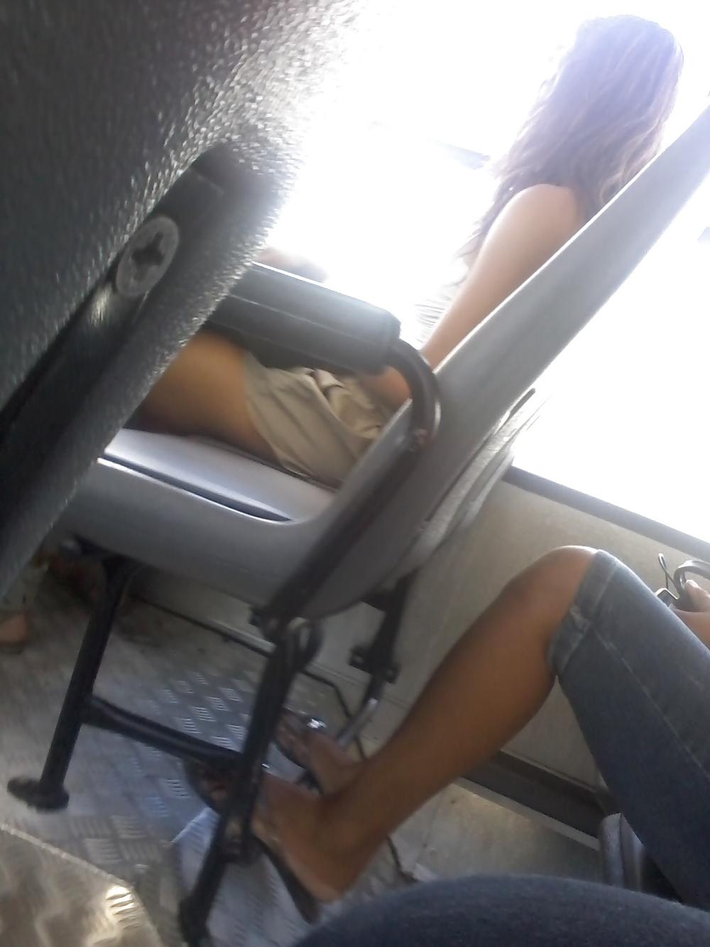 8P In bus