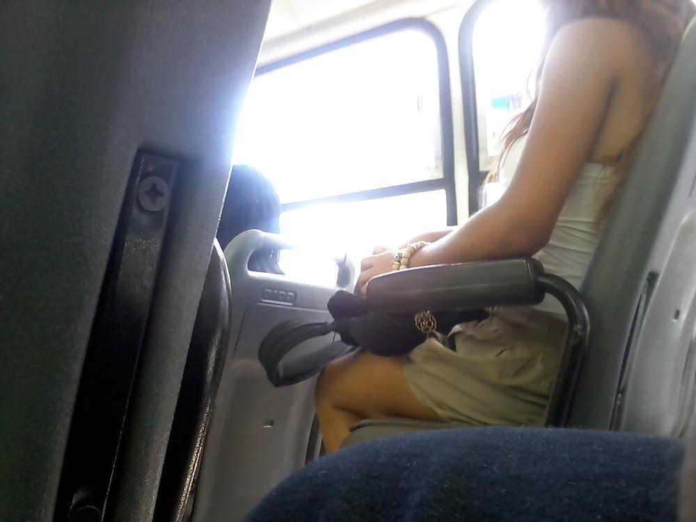8P In bus