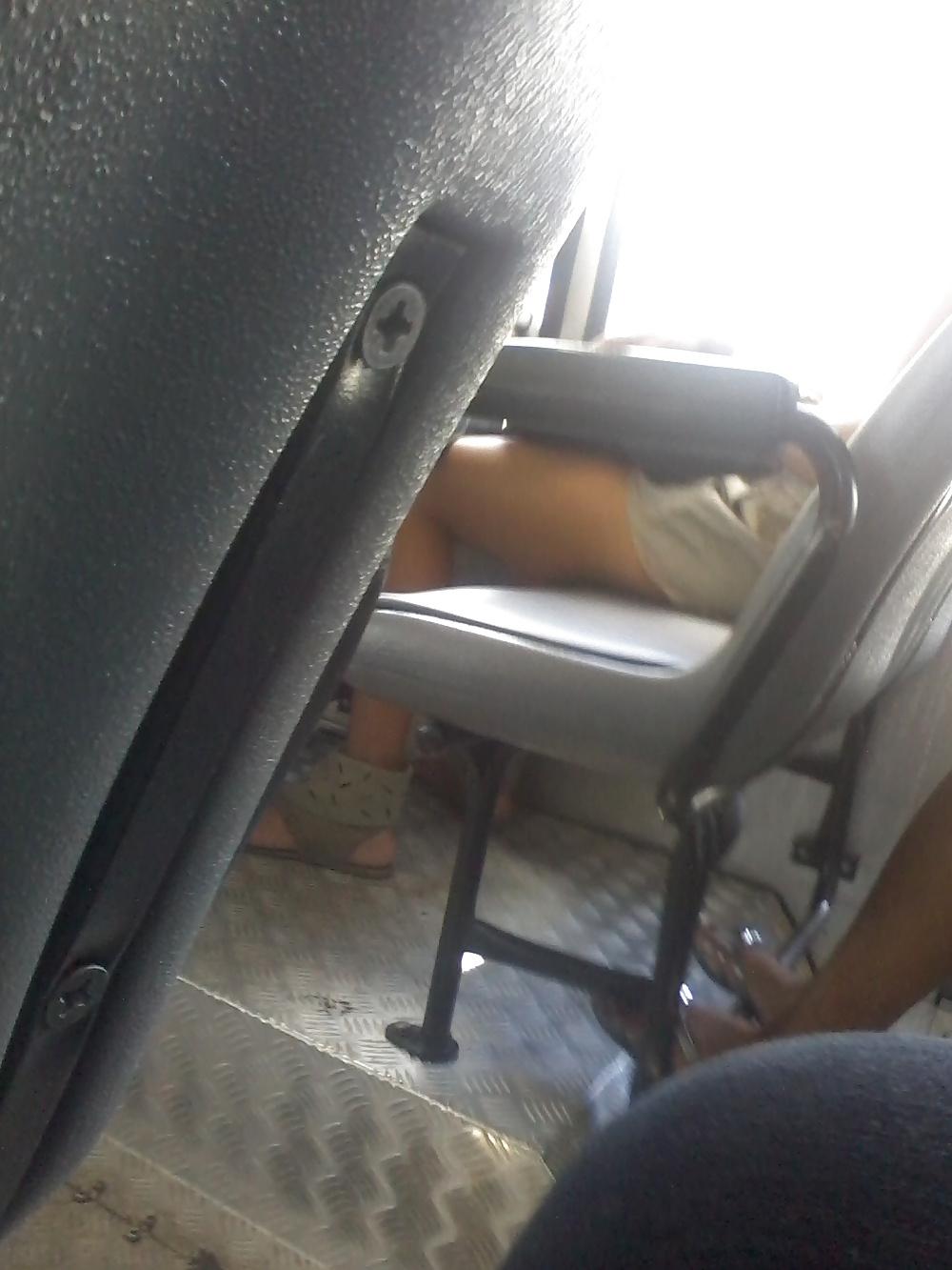 8P In bus
