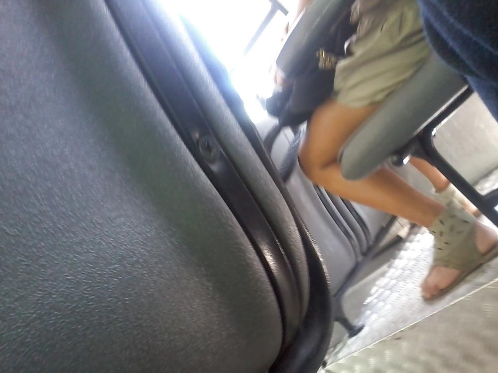 8P In bus
