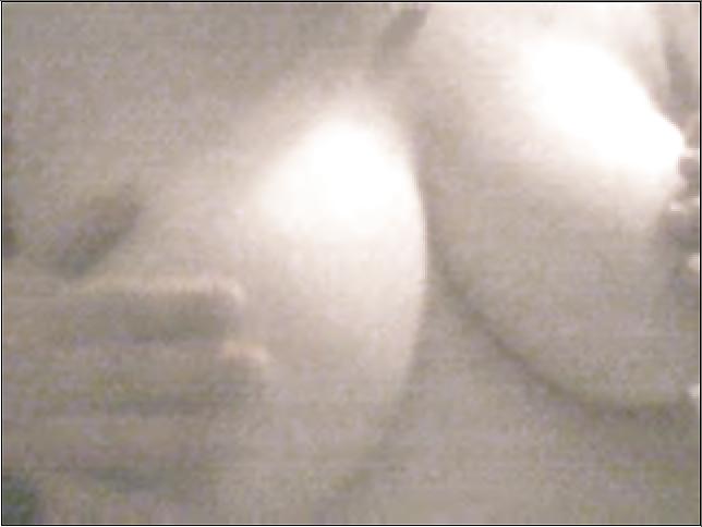 25P Webcam granny 4