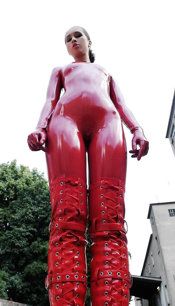 13P Dog's view on red latex