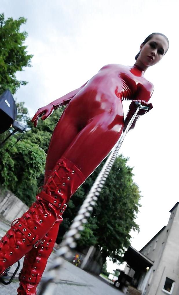 13P Dog's view on red latex