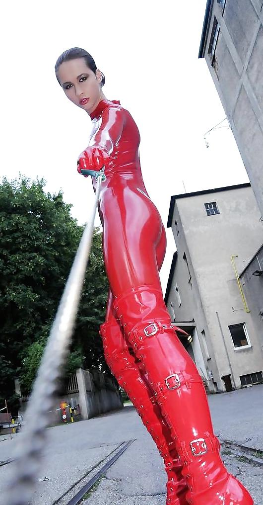 13P Dog's view on red latex