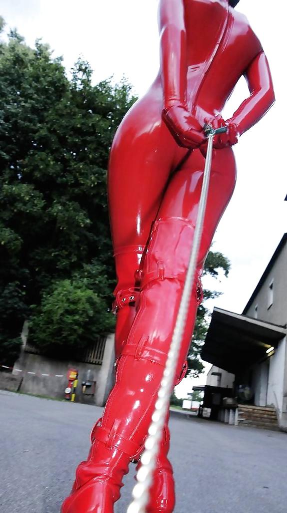 13P Dog's view on red latex
