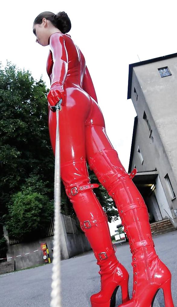 13P Dog's view on red latex