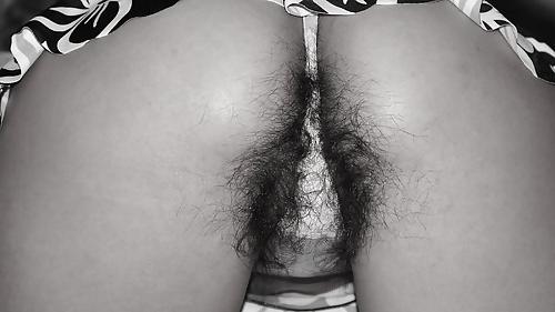 22P Very Hairy Women